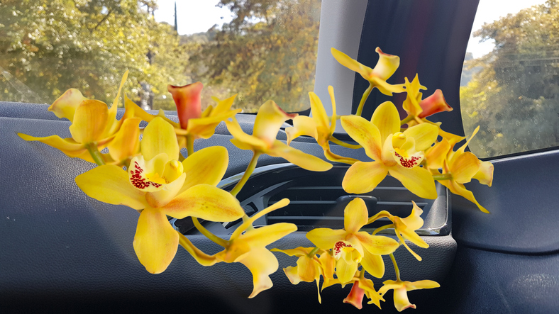 airconditioning in de auto met gele bloemen die eruit komen